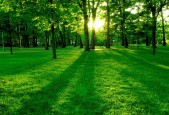 2026 年全球体育器材市场分析：碳纤维材质的全面降价。，体育器材生产厂家前十