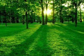2026 年全球体育器材市场分析：碳纤维材质的全面降价。，体育器材生产厂家前十